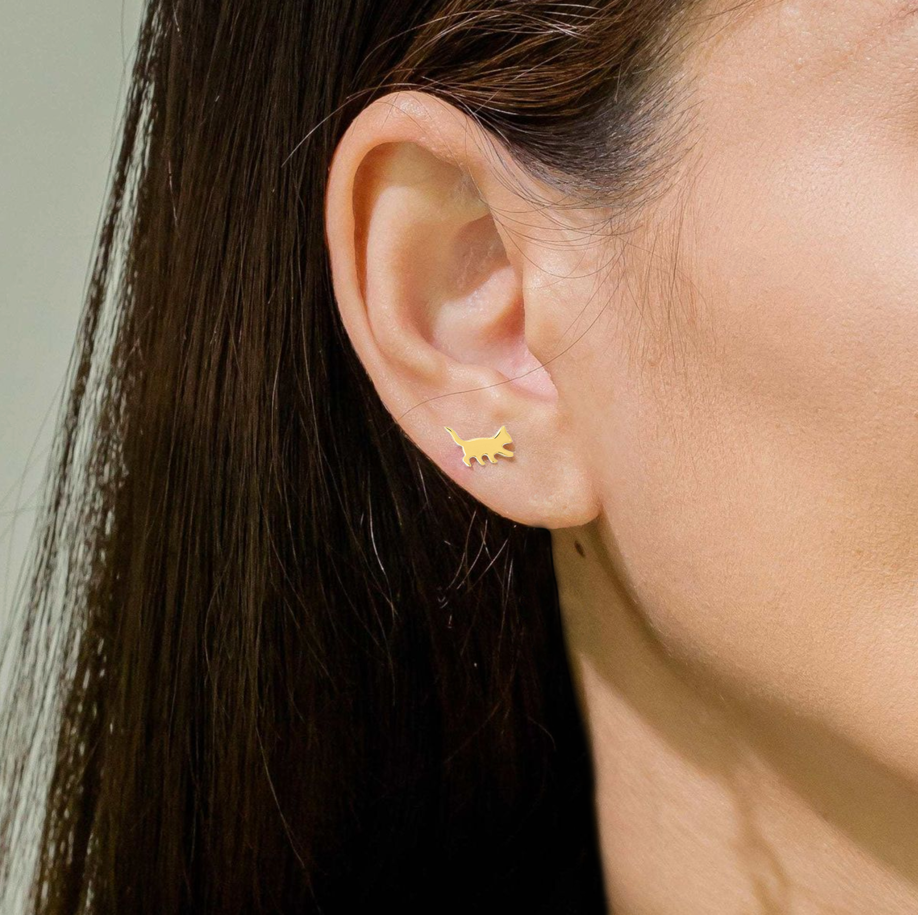 BOMA Curious Cat Studs - Gold