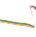 HSEM Mini Rainbow Dancer Ribbon Wand