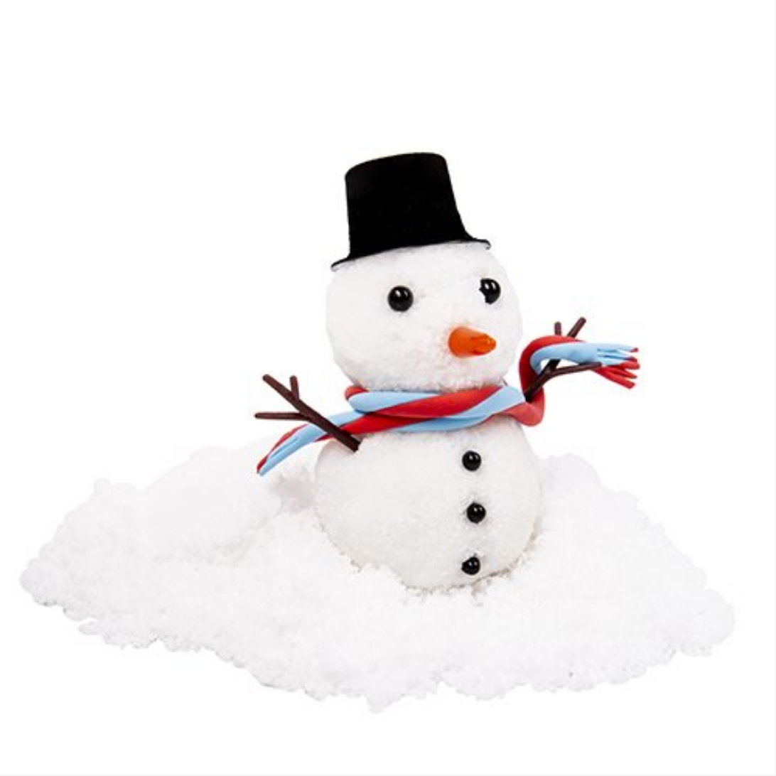 Build Your Own Desktop Snowman