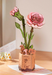 ROBOTIME DIY Wooden Flower - Pink Carnation