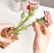 ROBOTIME DIY Wooden Flower - Pink Carnation