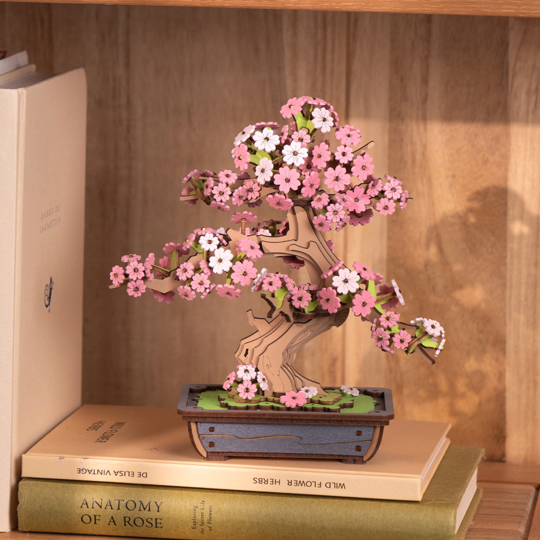 ROBOTIME Sakura Bonsai