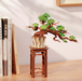 ROBOTIME Evergreen Pine Bonsai DIY Wooden 3D Puzzle