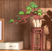 ROBOTIME Evergreen Pine Bonsai DIY Wooden 3D Puzzle