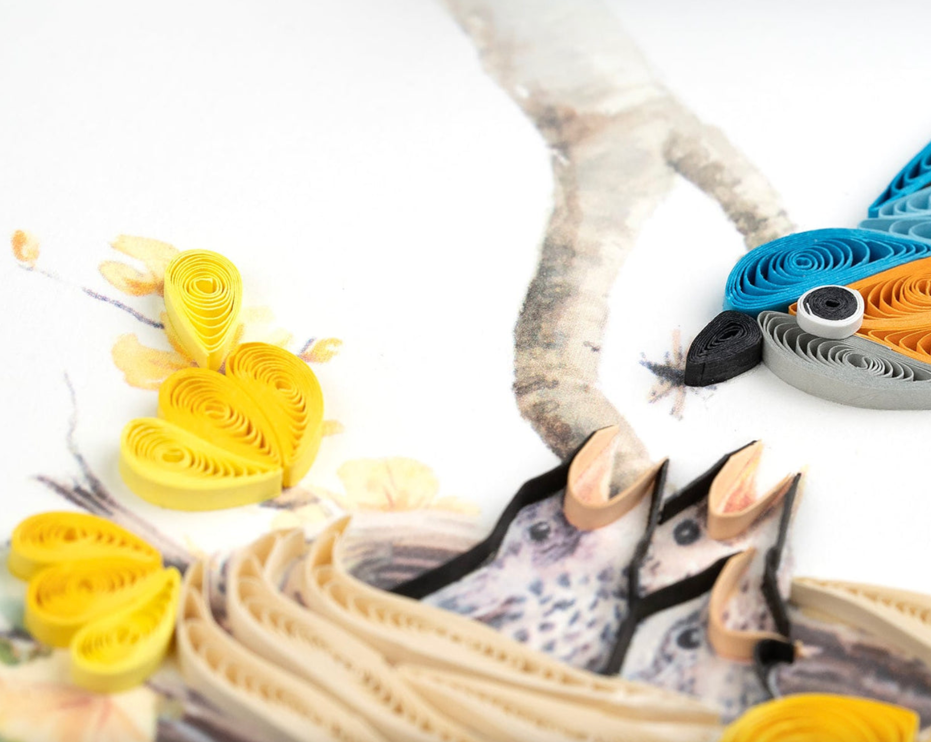 Bluebird & Babies Bank Quilling Card