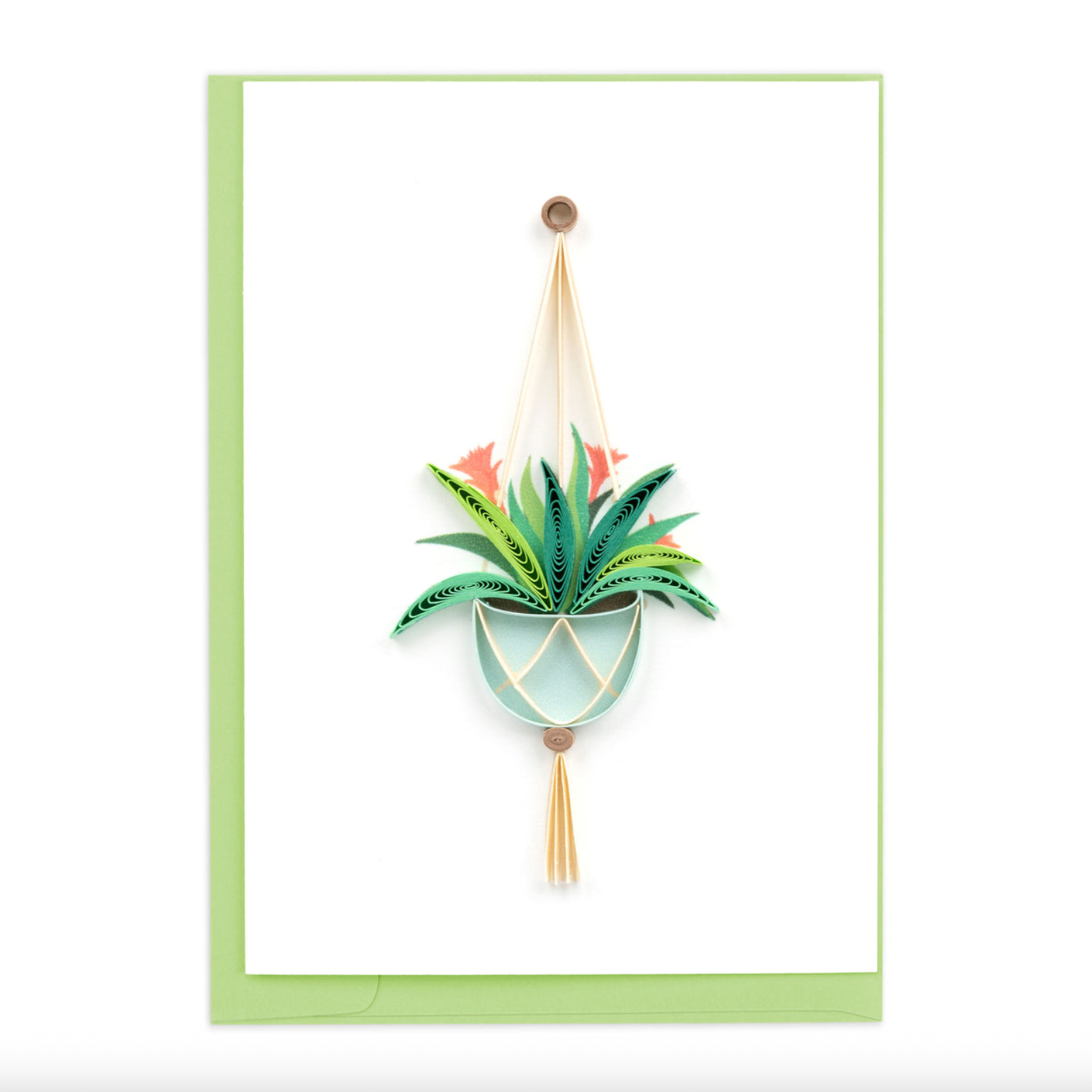Bromeliad Macrame Hanger Quilling Gift Enclosure
