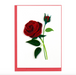 Red Rose - Blank Quilling Enclosure Card