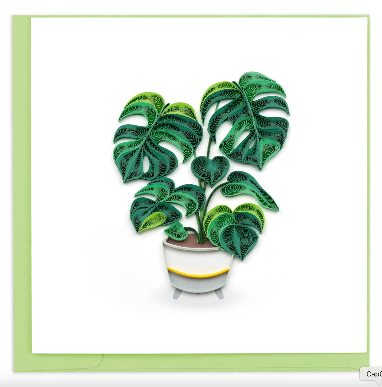 Monstera Plant Blank Quilled Greeting Card