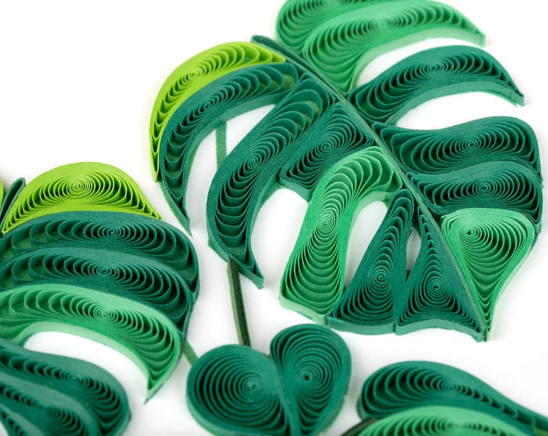 Monstera Plant Blank Quilled Greeting Card