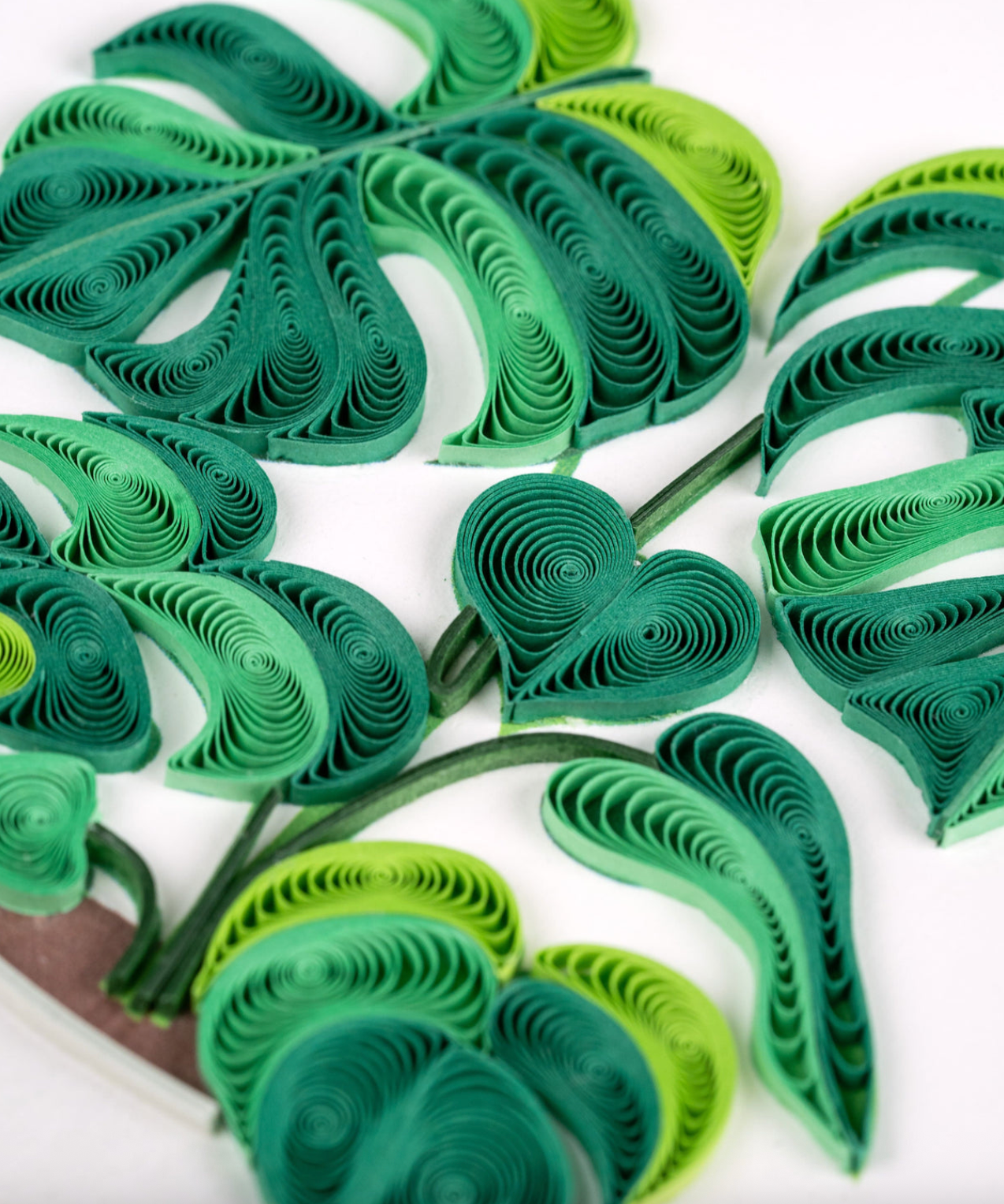 Monstera Plant Blank Quilled Greeting Card