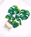 Monstera Plant Blank Quilled Greeting Card