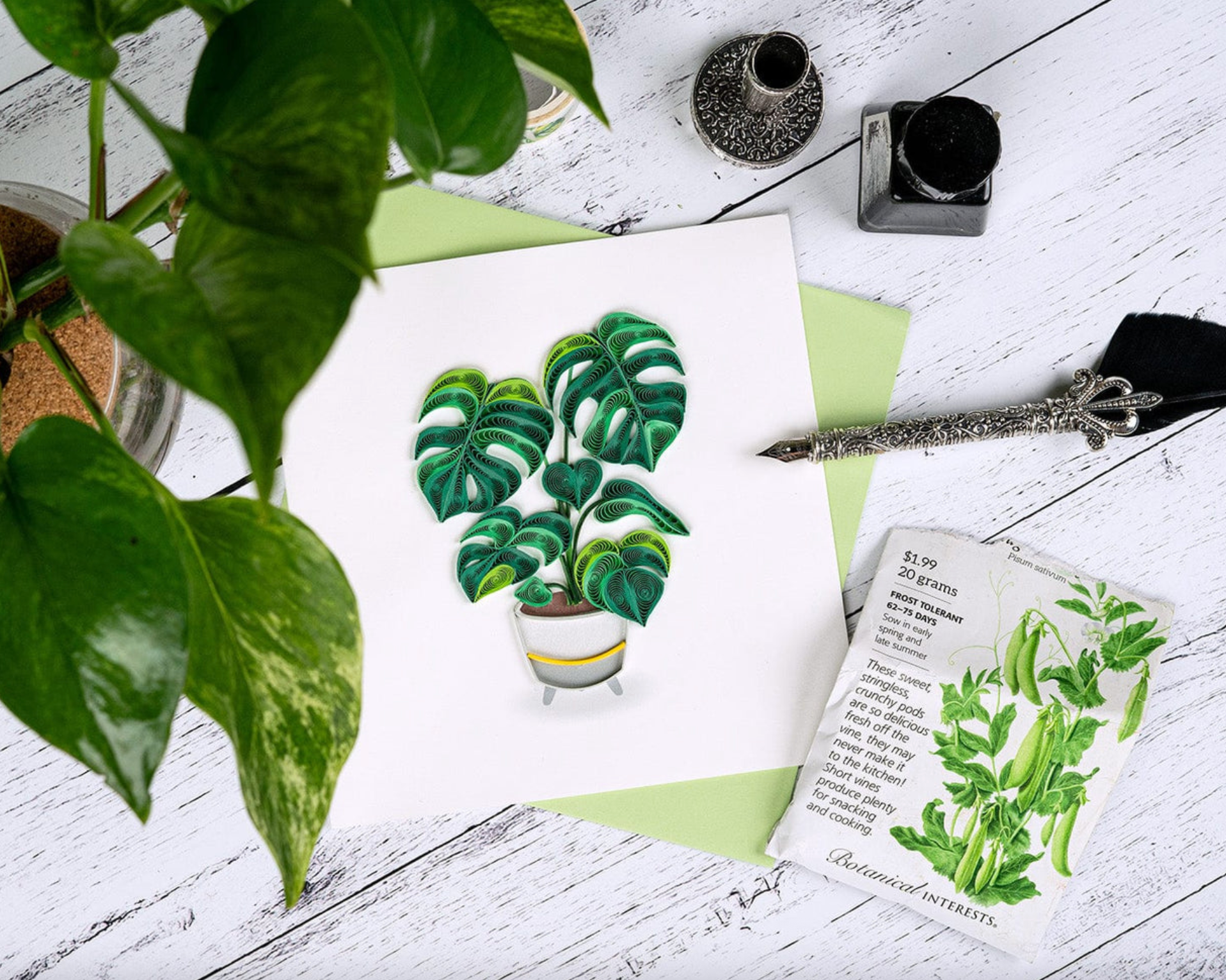 Monstera Plant Blank Quilled Greeting Card