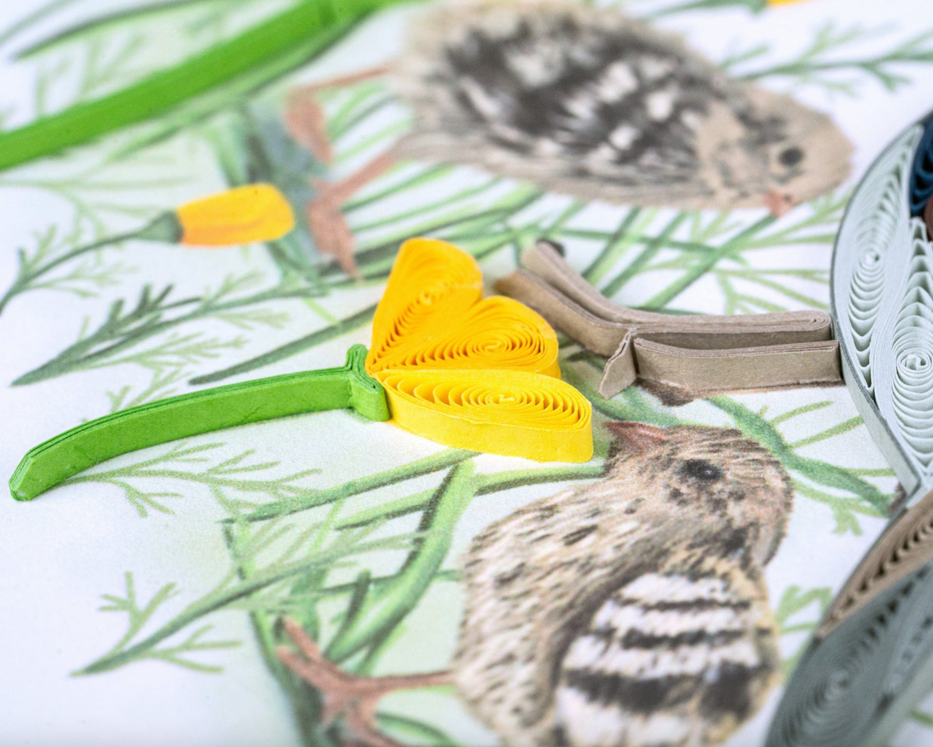 Quail with Chicks & Poppies Quilling Card