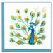 Peacock Feather Display Blank Quilling Card