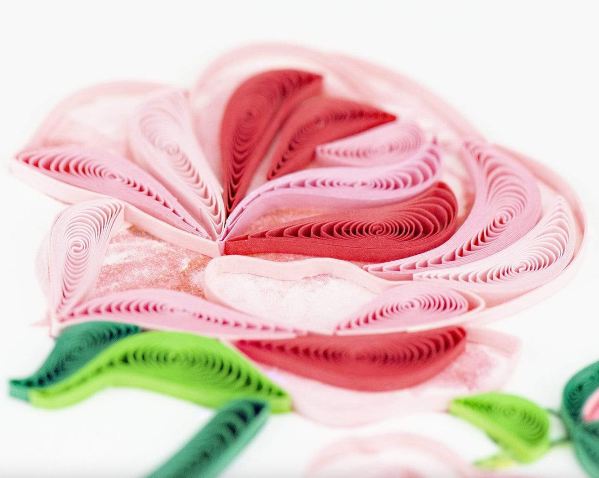 Long Stem Pink Roses Blank Quilling Card