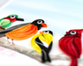 Songbirds Blank Quilling Card