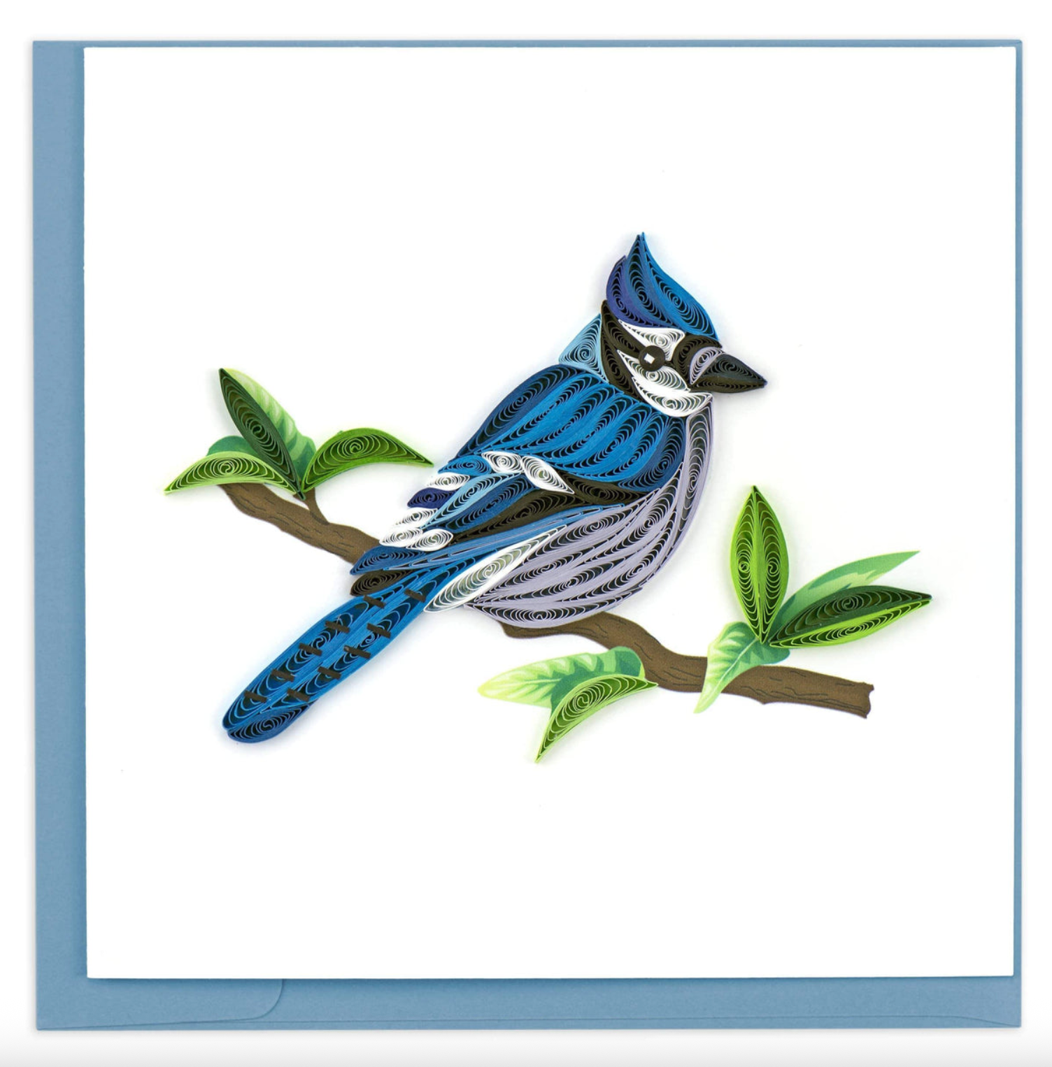 Blue Jay Blank Quilling Card