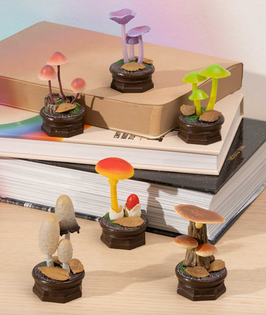 Mushroom Garden Blind Box - V2