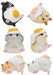 Hamster ‘N Egg Blind Box