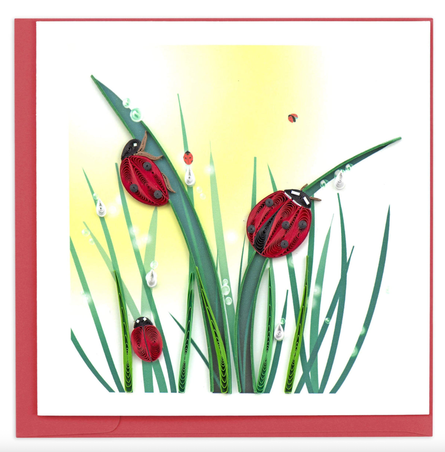 QUILLING CARDS Quilled Ladybug Greeting Card