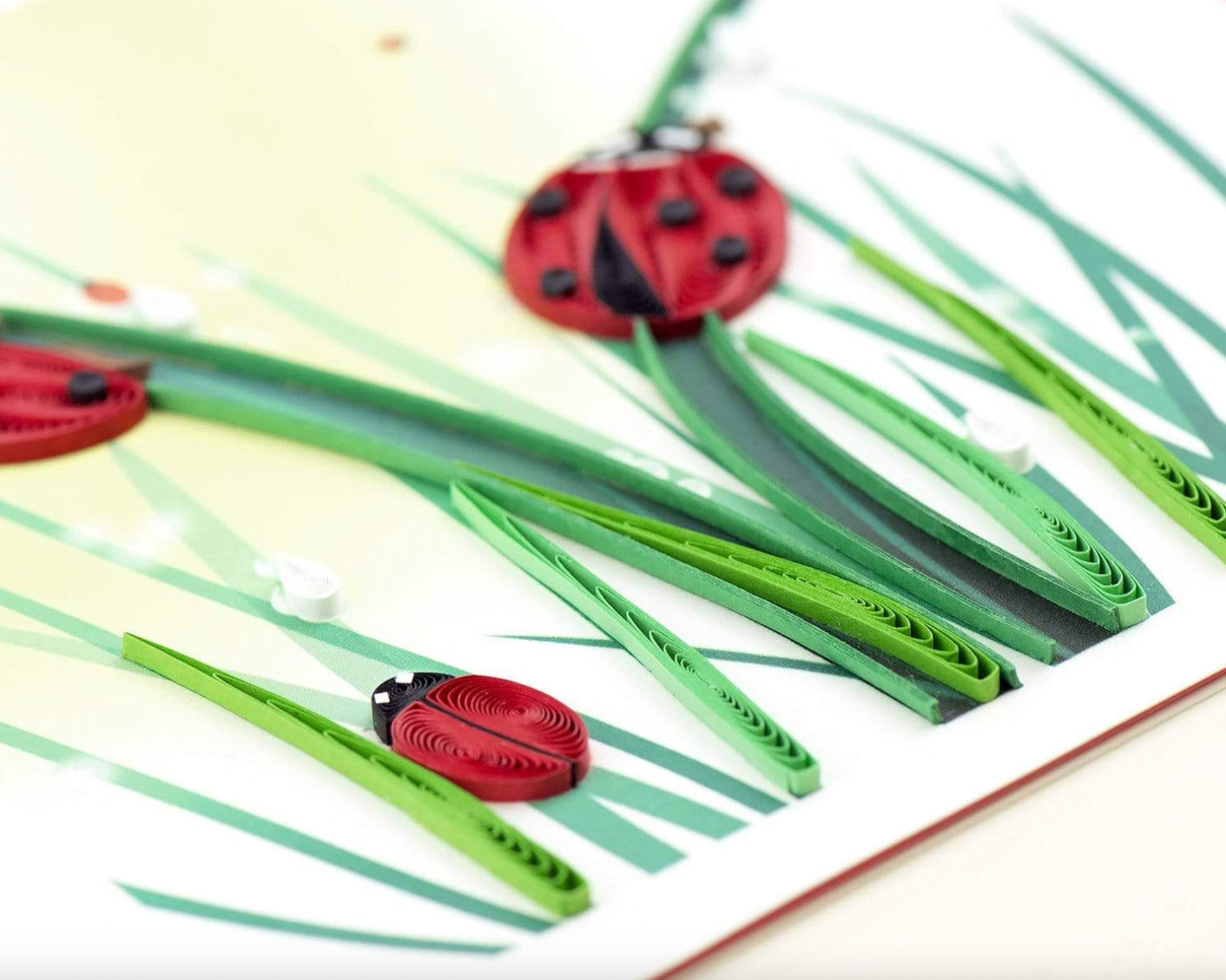 QUILLING CARDS Quilled Ladybug Greeting Card