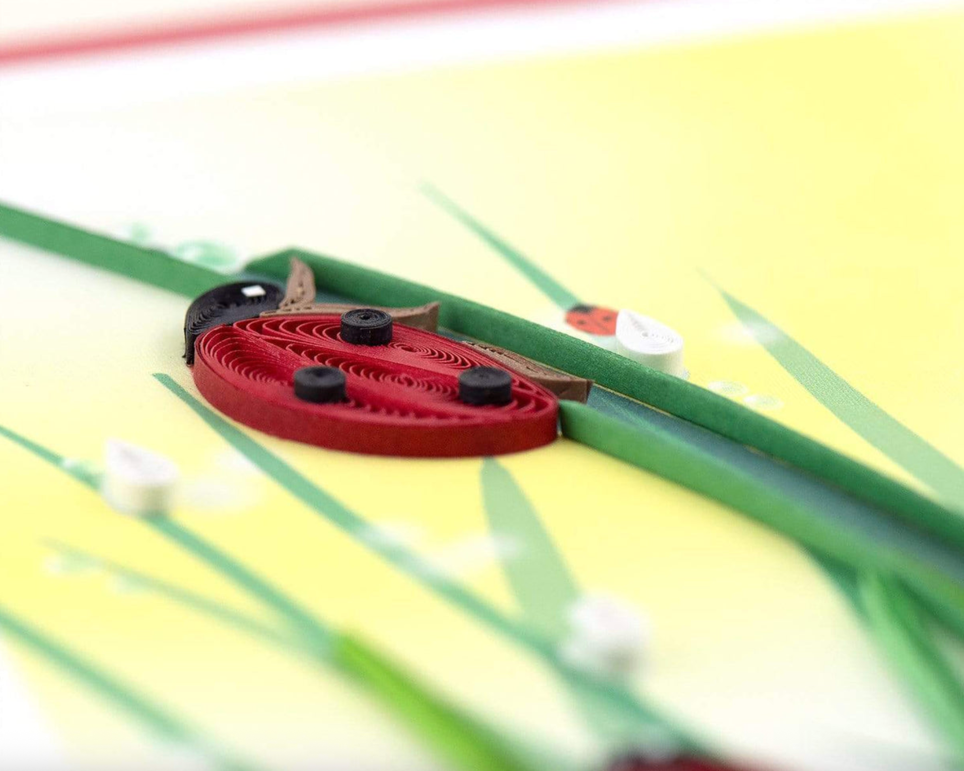 QUILLING CARDS Quilled Ladybug Greeting Card
