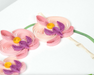 Potted Orchid Thank You Quilling Card