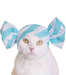 CI Cat Cap Blind Box - Candy