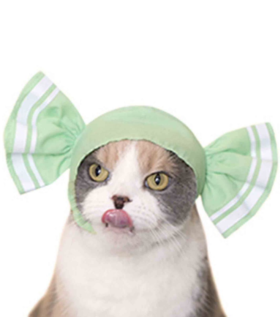 CI Cat Cap Blind Box - Candy