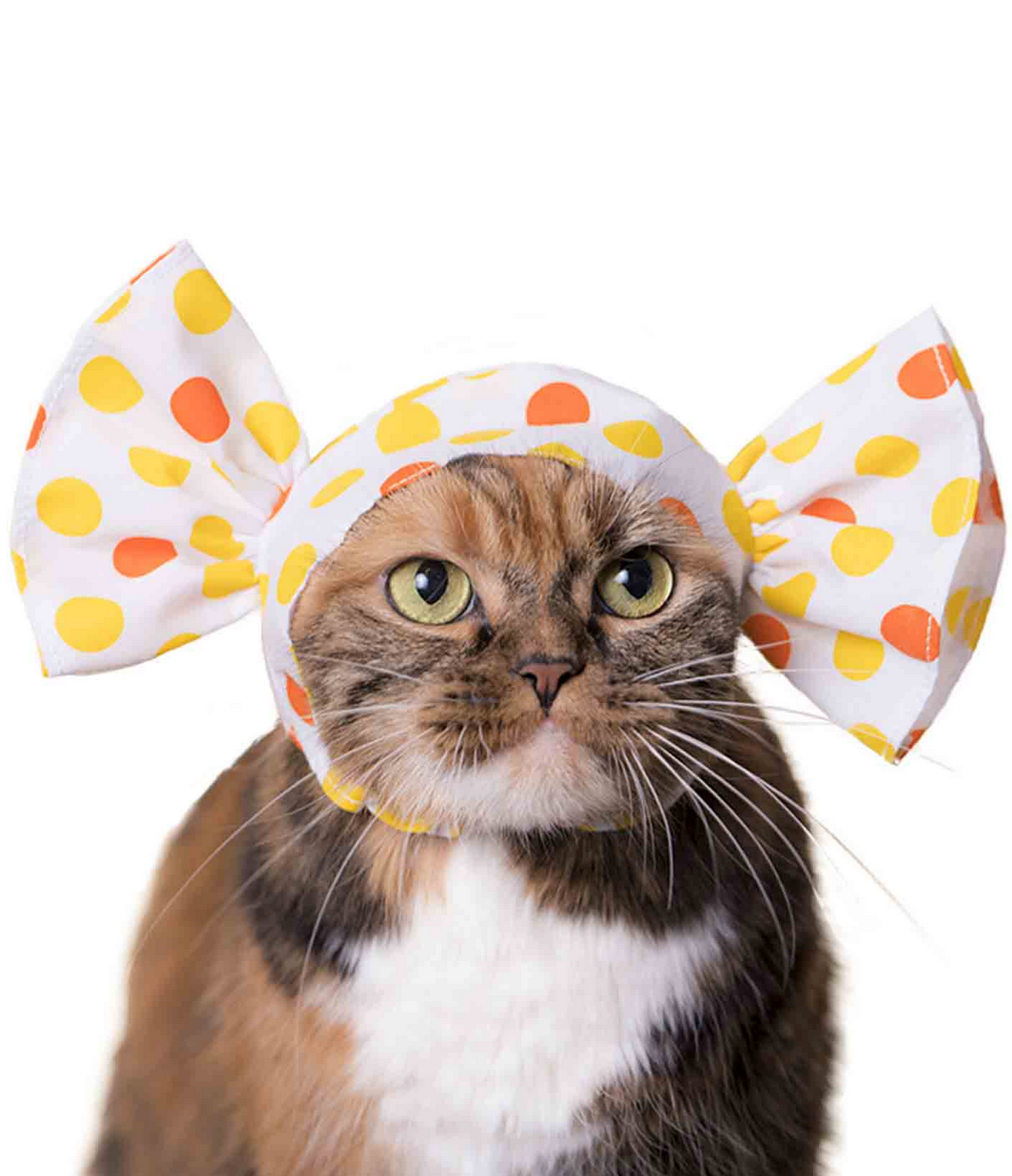 CI Cat Cap Blind Box - Candy