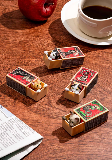 CI CAT PEEK MATCHBOX