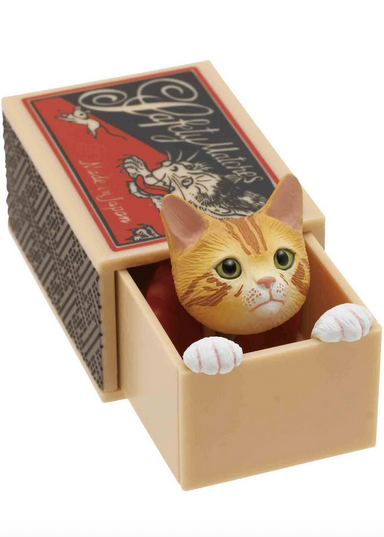 CI CAT PEEK MATCHBOX