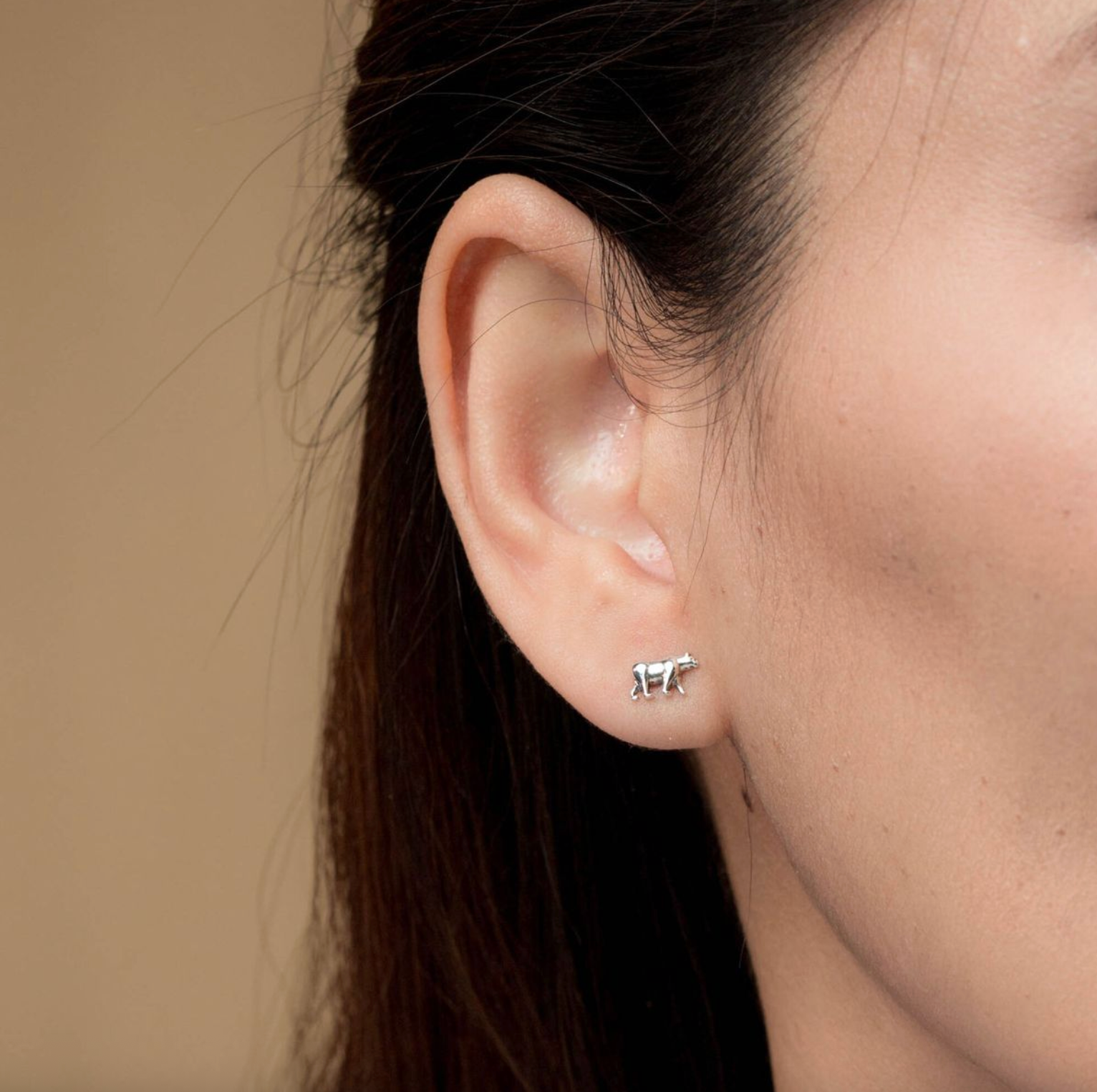 BOMA California Grizzly Bear Earring Studs