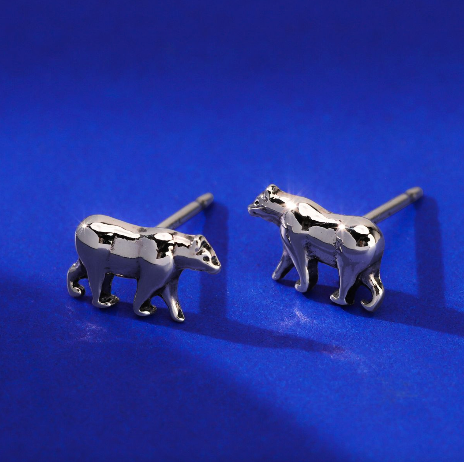 BOMA California Grizzly Bear Earring Studs