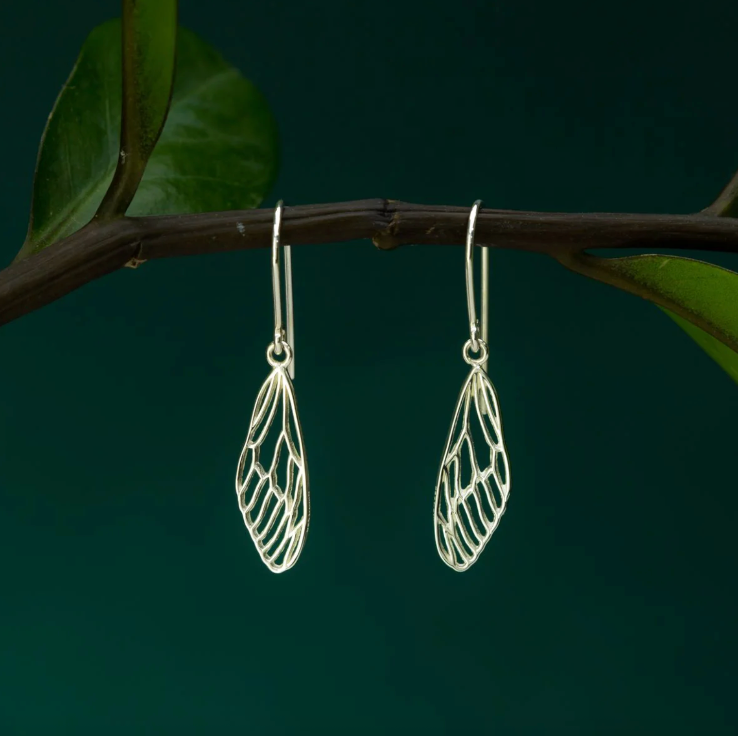 BOMA Outline Dragonfly Wing Earrings