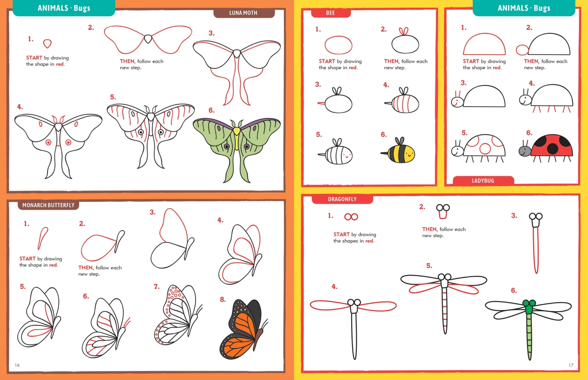 PTR Learn to Draw . . . Everything!