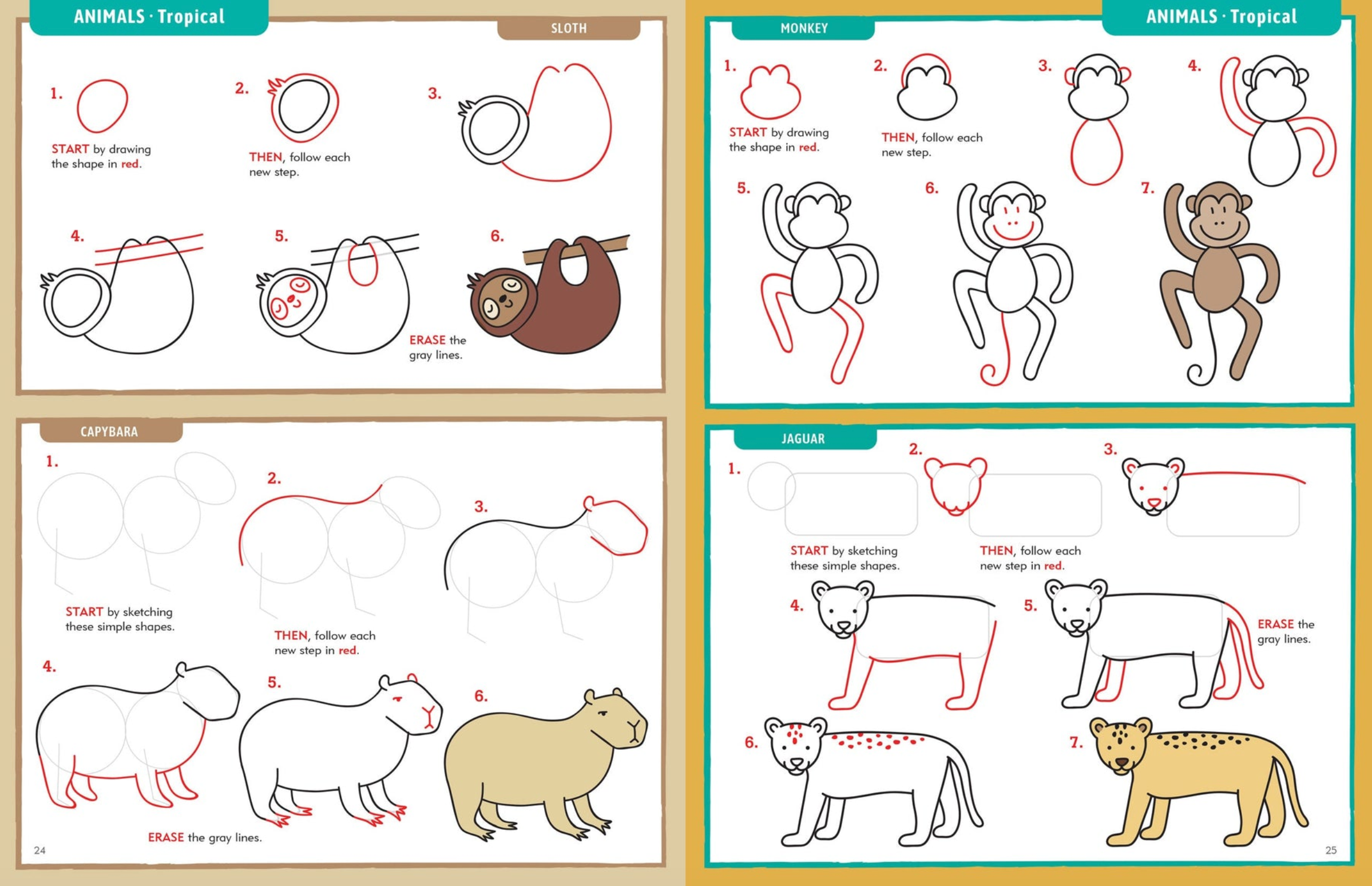 PTR Learn to Draw . . . Everything!