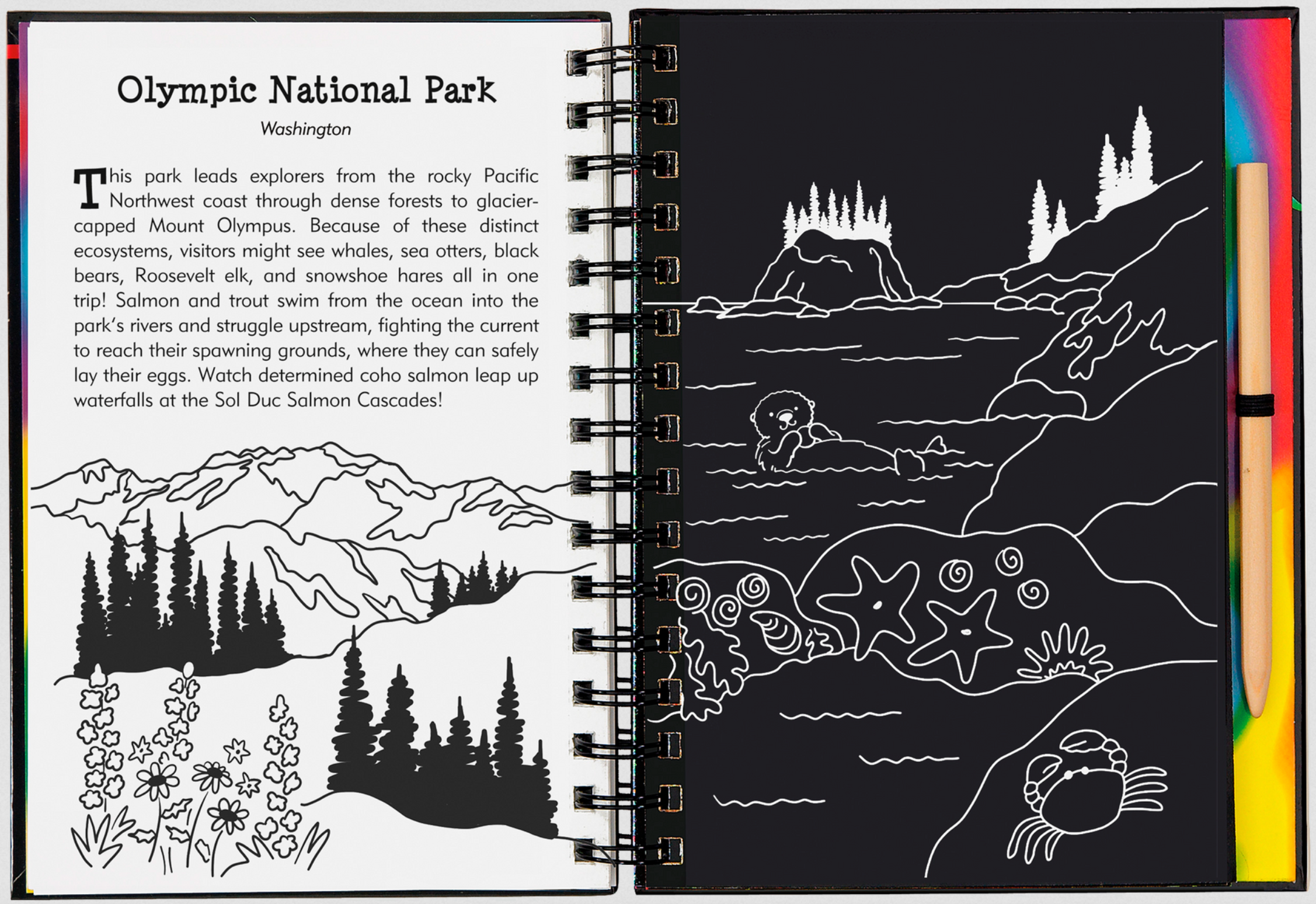 PTR National Parks & Landmarks Scratch and Sketch