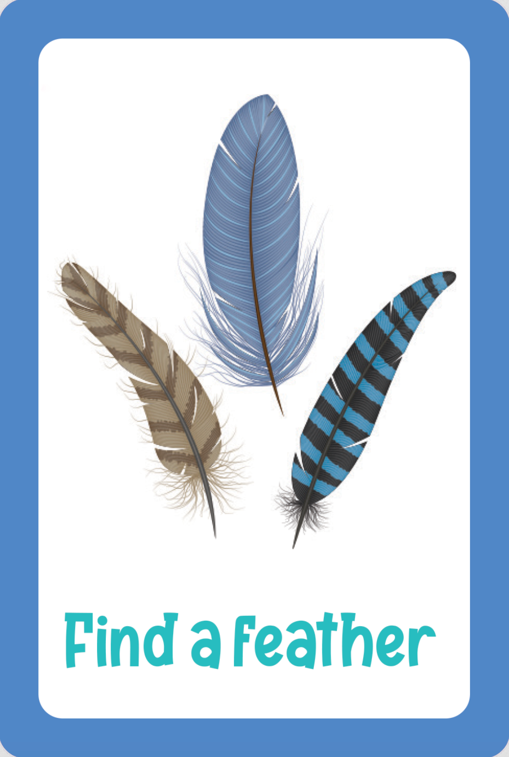 PTR Nature Seek-and-Find Scavenger Hunt Cards