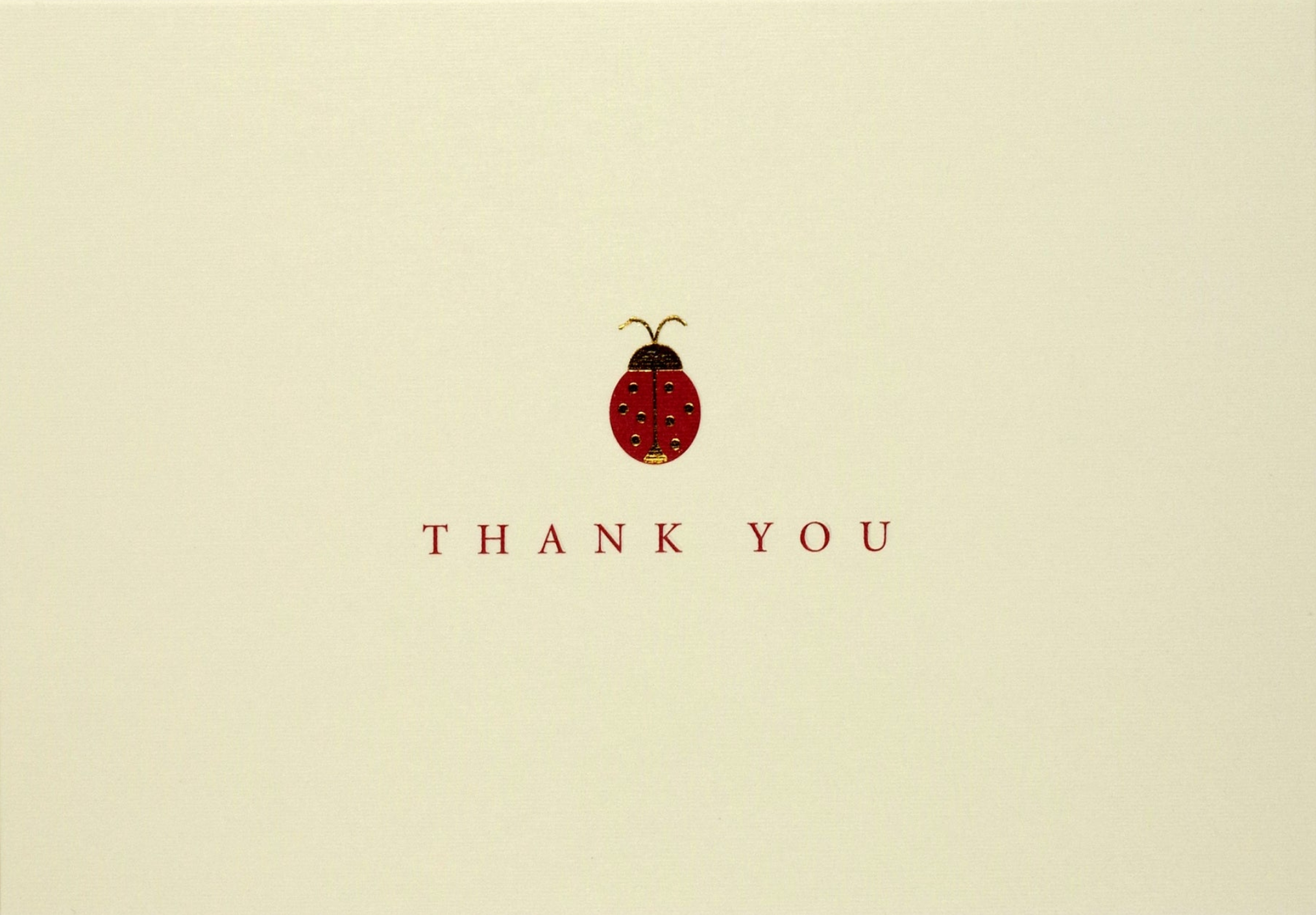 PTR Ladybug Thank You Notes - Boxed Set
