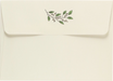 PTR Native Botanicals Thank You Notes - Boxed Set