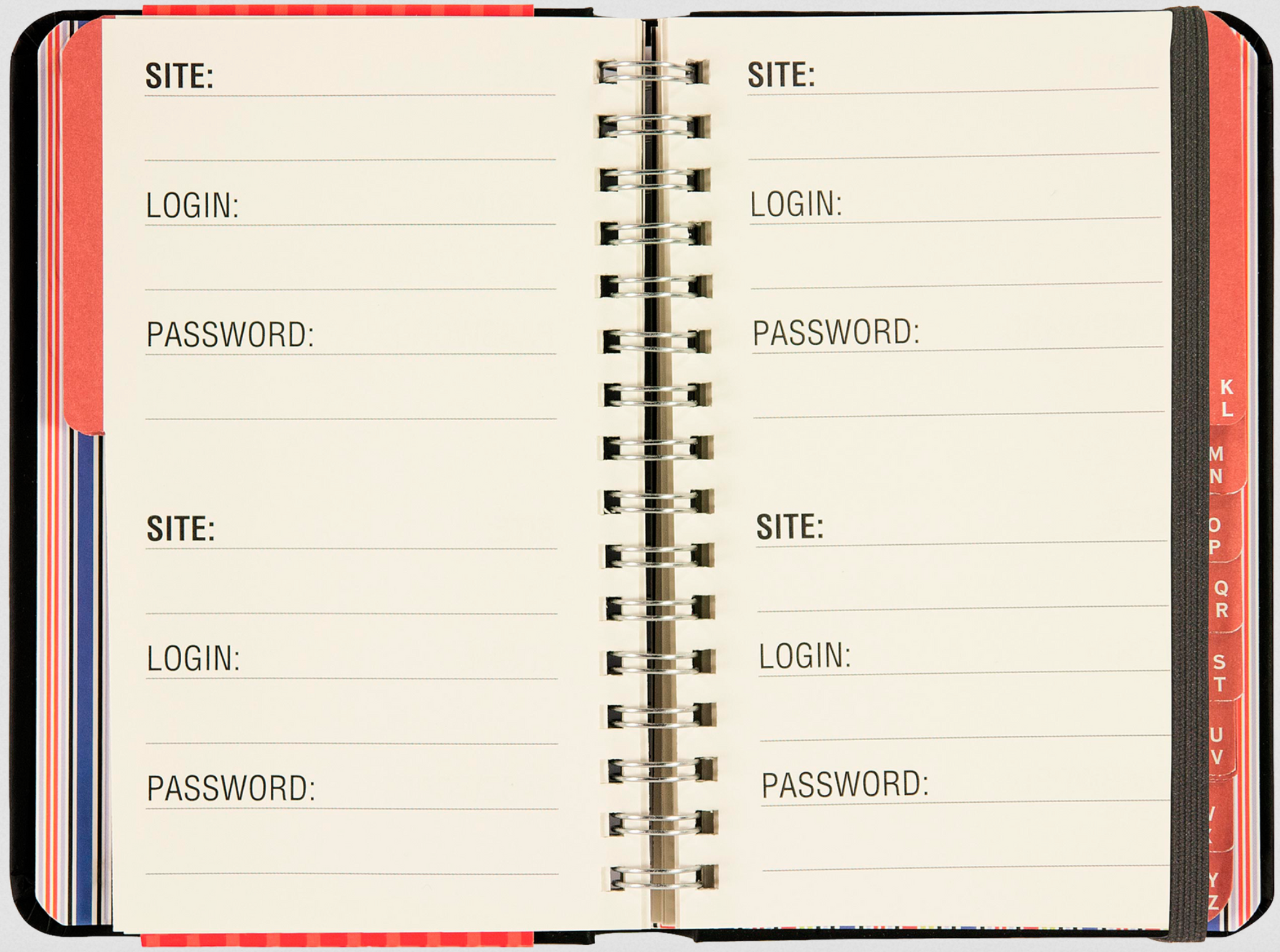 PTR Large Print Internet Address & Password Logbook