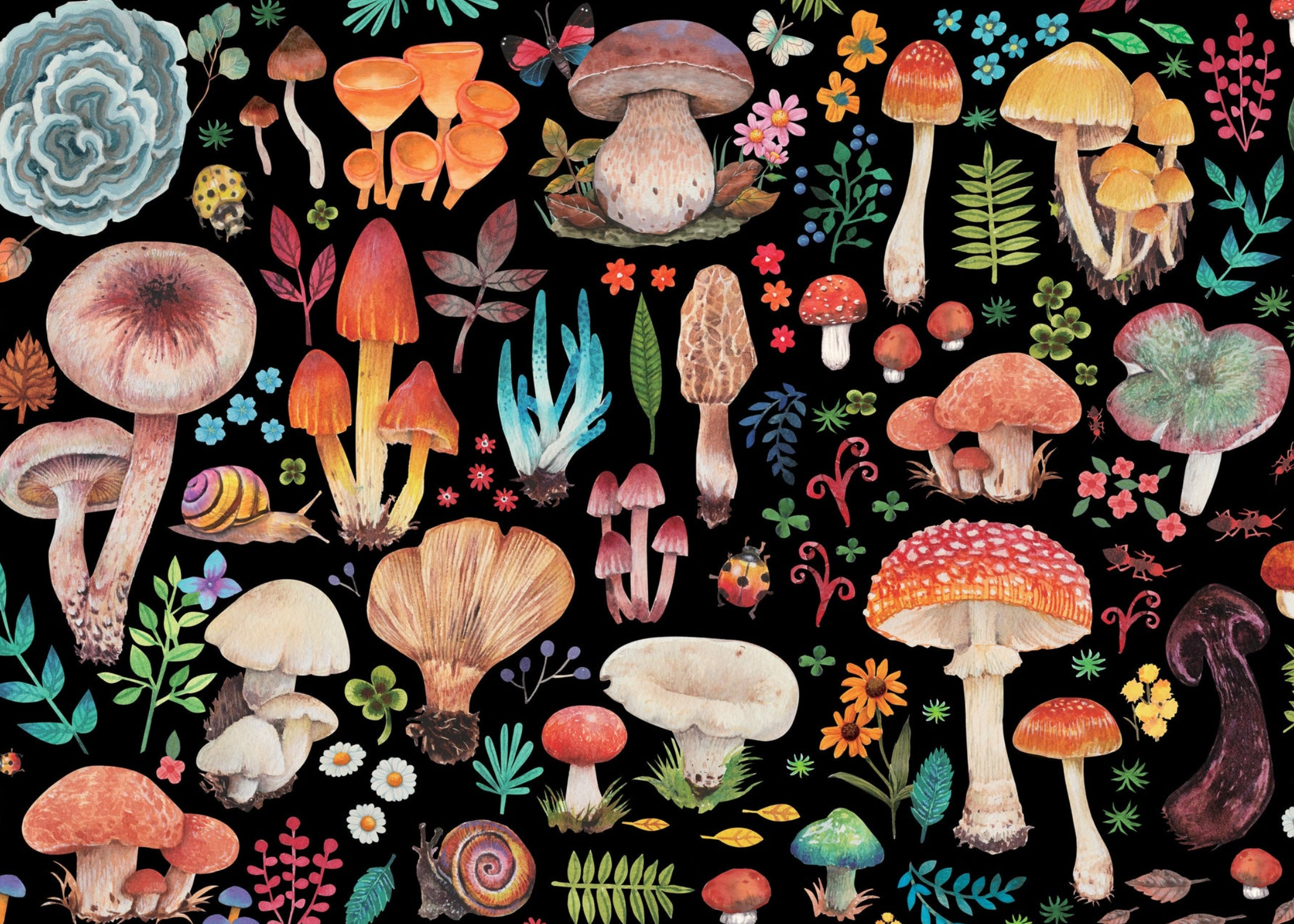 PTR Mushrooms 1000 Piece Jigsaw Puzzle