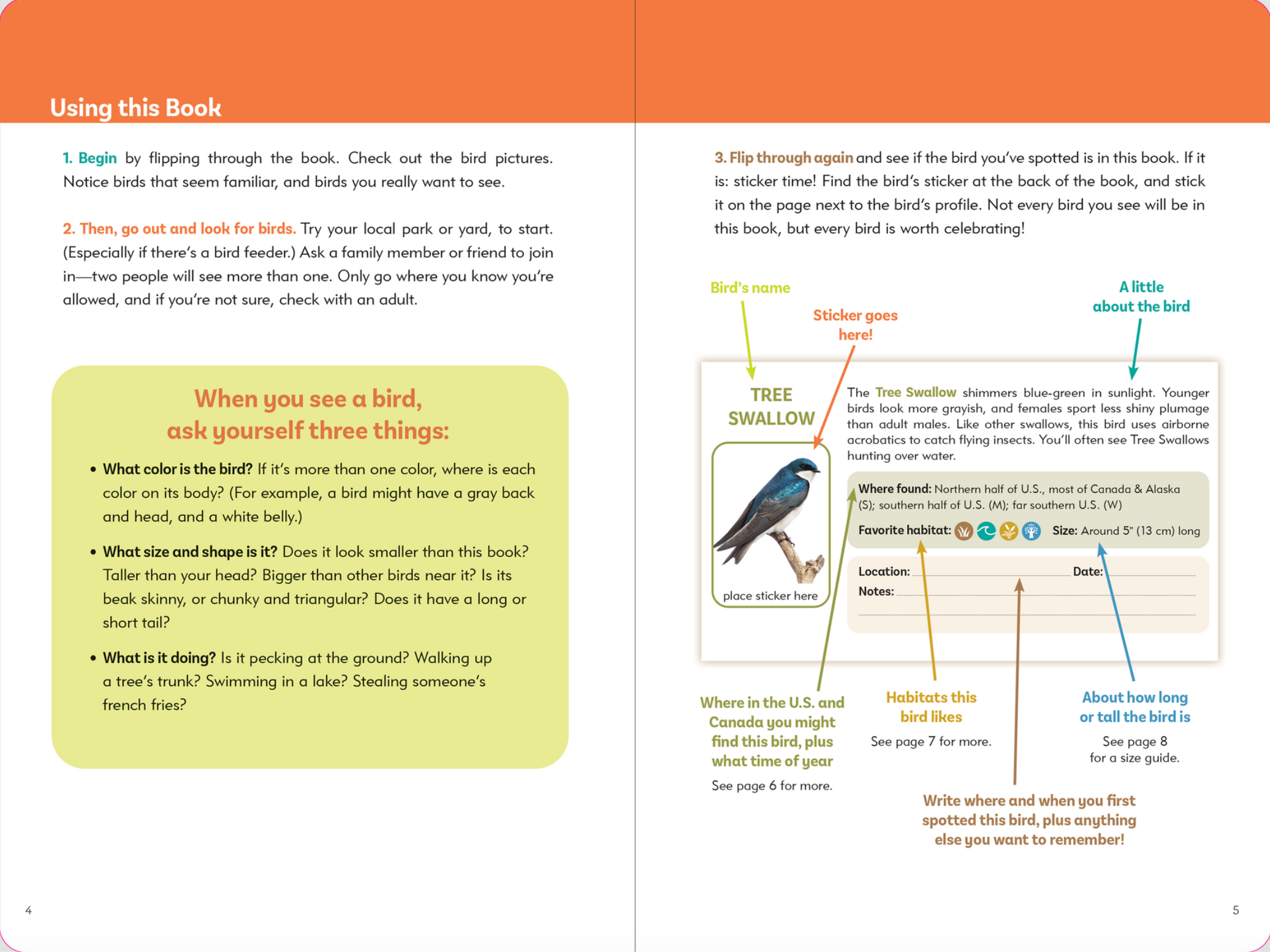 PTR The Birder's Logbook: A Seek-and-Sticker Book for Budding Ornithologists