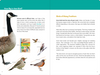 PTR The Birder's Logbook: A Seek-and-Sticker Book for Budding Ornithologists