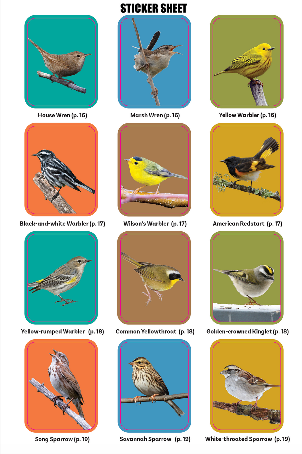 PTR The Birder's Logbook: A Seek-and-Sticker Book for Budding Ornithologists