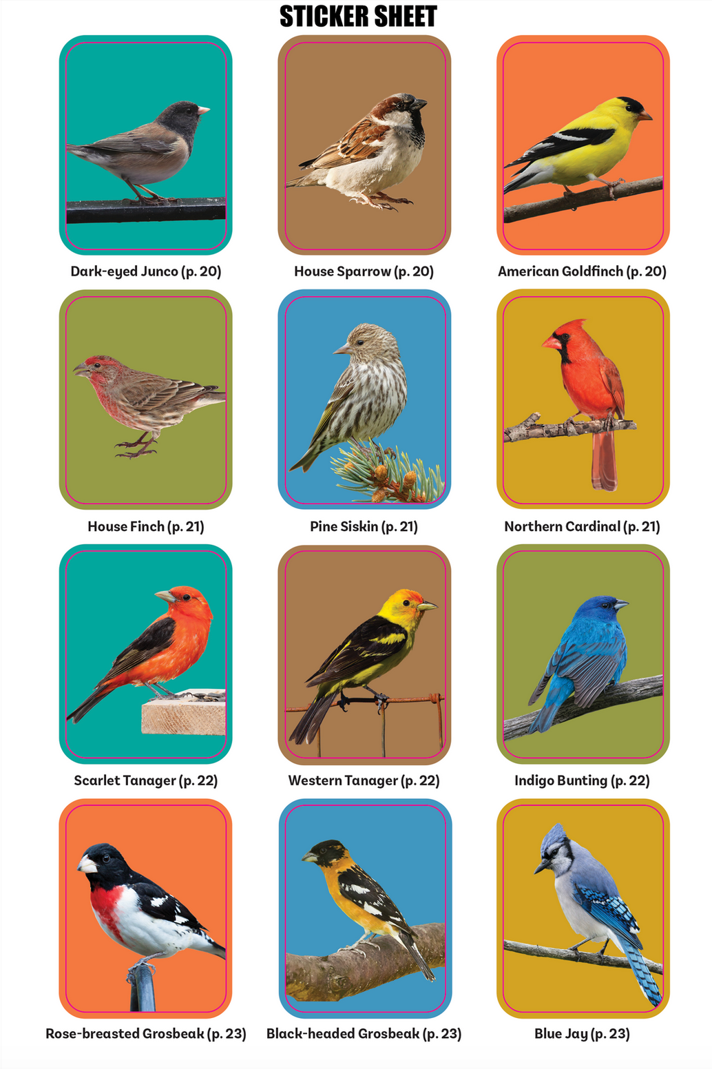 PTR The Birder's Logbook: A Seek-and-Sticker Book for Budding Ornithologists