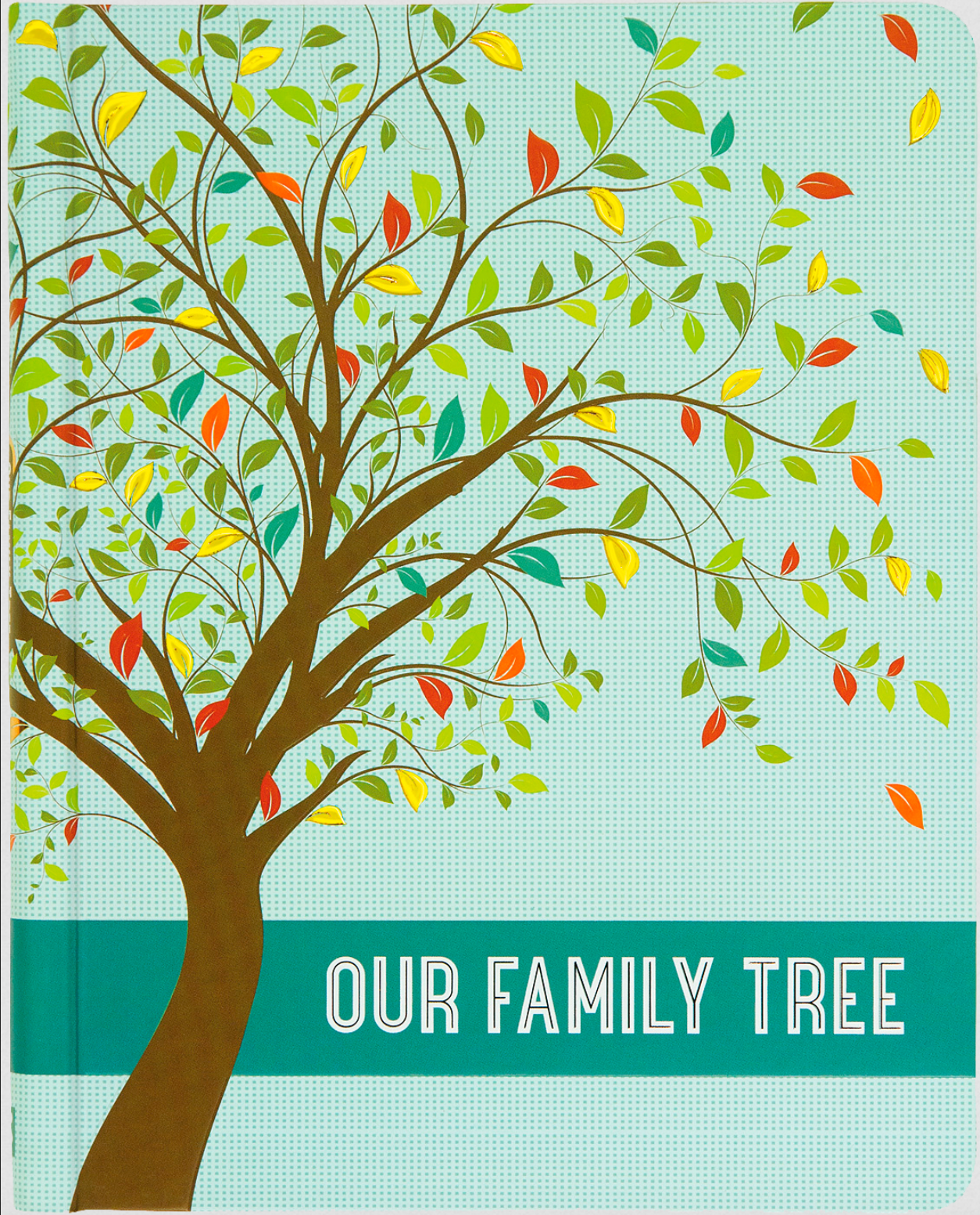 PTR Our Family Tree