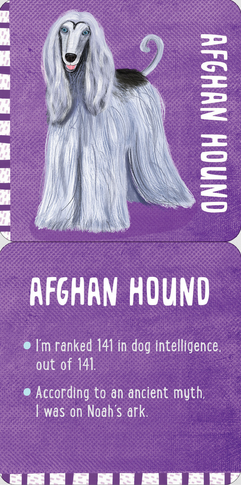 PTR All the Dogs Lunch Box Notes for Kids! (Set of 50 Cards)