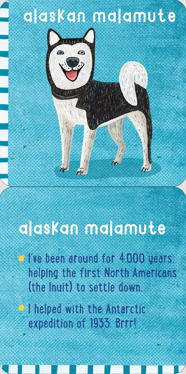 PTR All the Dogs Lunch Box Notes for Kids! (Set of 50 Cards)